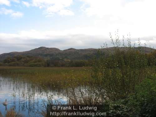 Tobernalt Bay, Lough Gill, Sligo